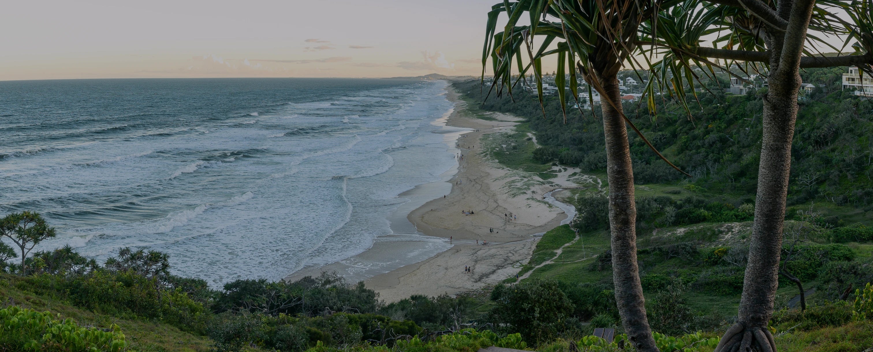Holster
