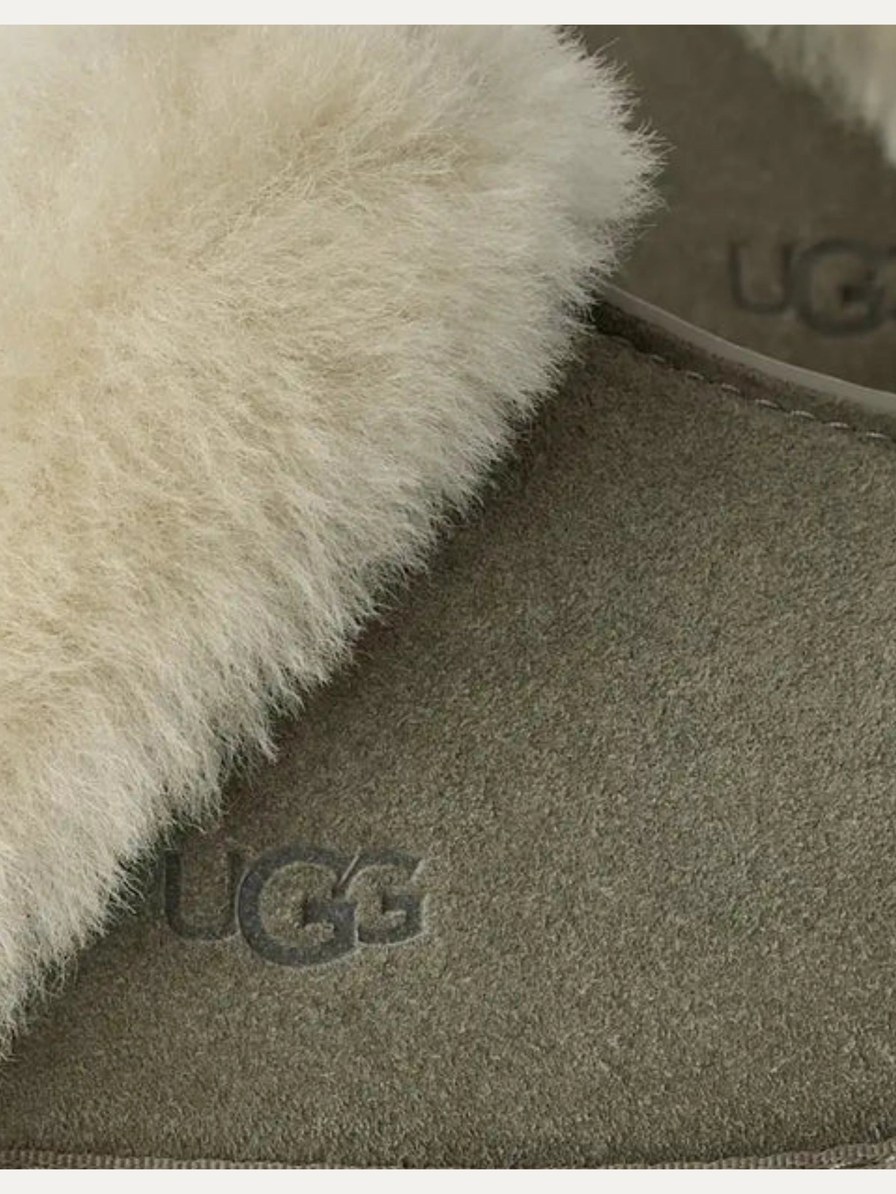 UGG CHESNUT DISQUETTE